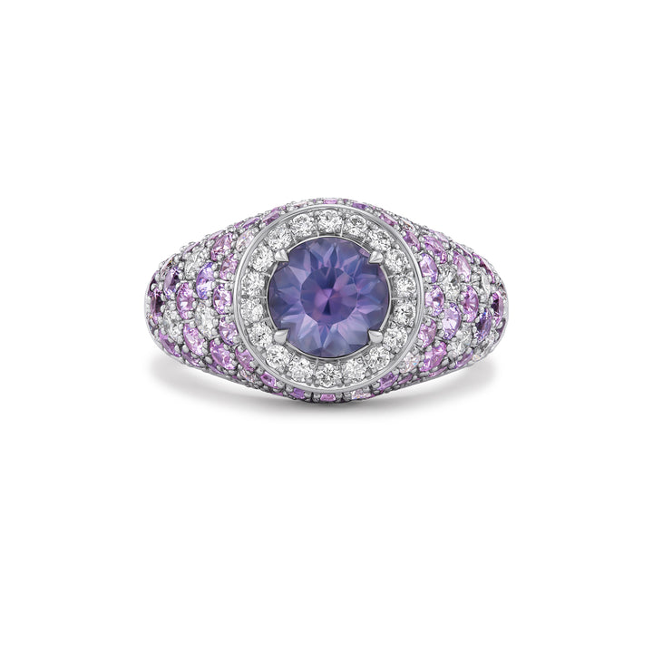 18K White Gold Celebration Ring with Round Pink-Purple Montana Un-heated Sapphire with Round Pink and Violet Sapphires and Diamonds