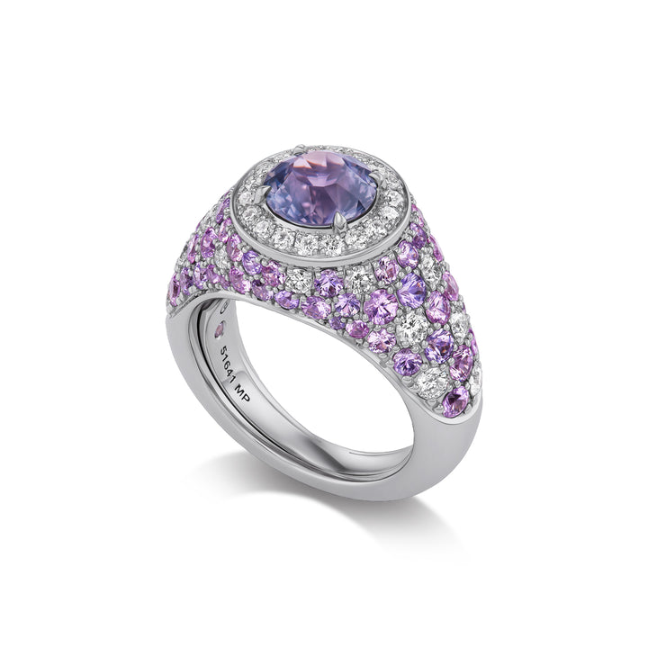 18K White Gold Celebration Ring with Round Pink-Purple Montana Un-heated Sapphire with Round Pink and Violet Sapphires and Diamonds