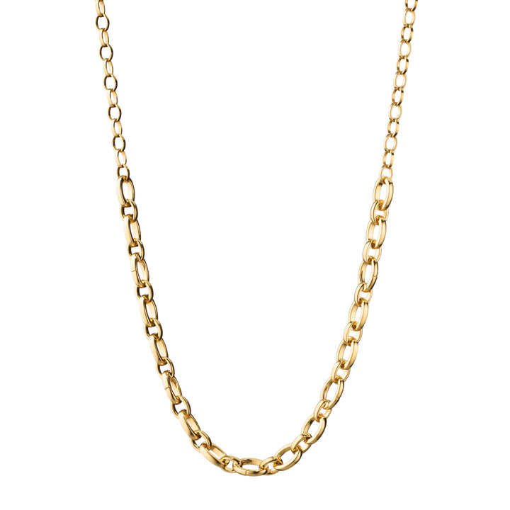 18K Yellow Gold "Audrey" Necklace with 5 Charm Stations on a Large 18" Belcher Chain