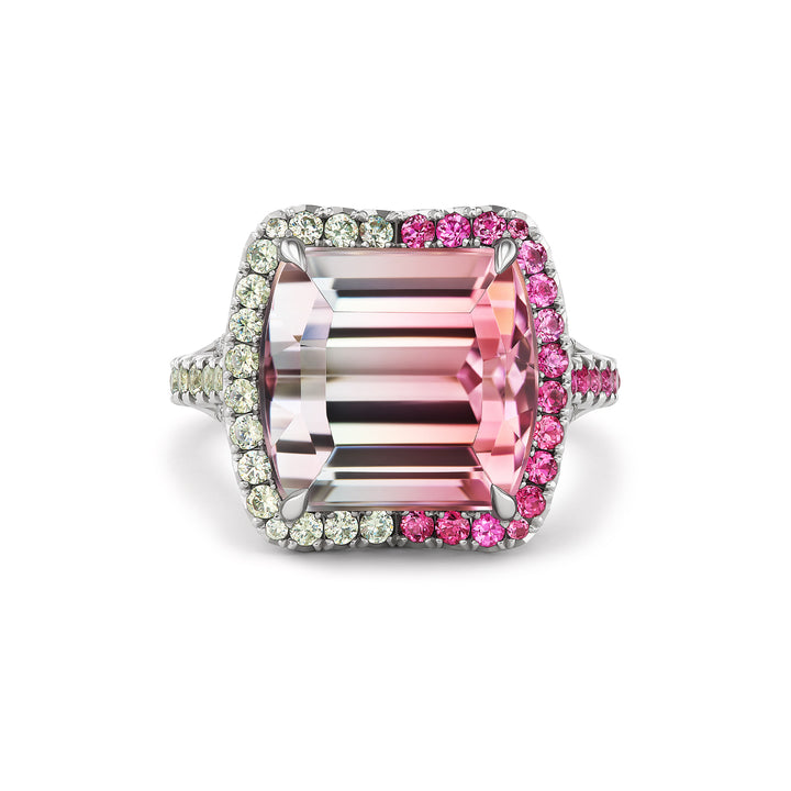 One of a Kind Platinum Ring with a 12.42 carat Emerald Cut Bi-Color Tourmaline, Spinels, Demantoid Garnets & Diamonds