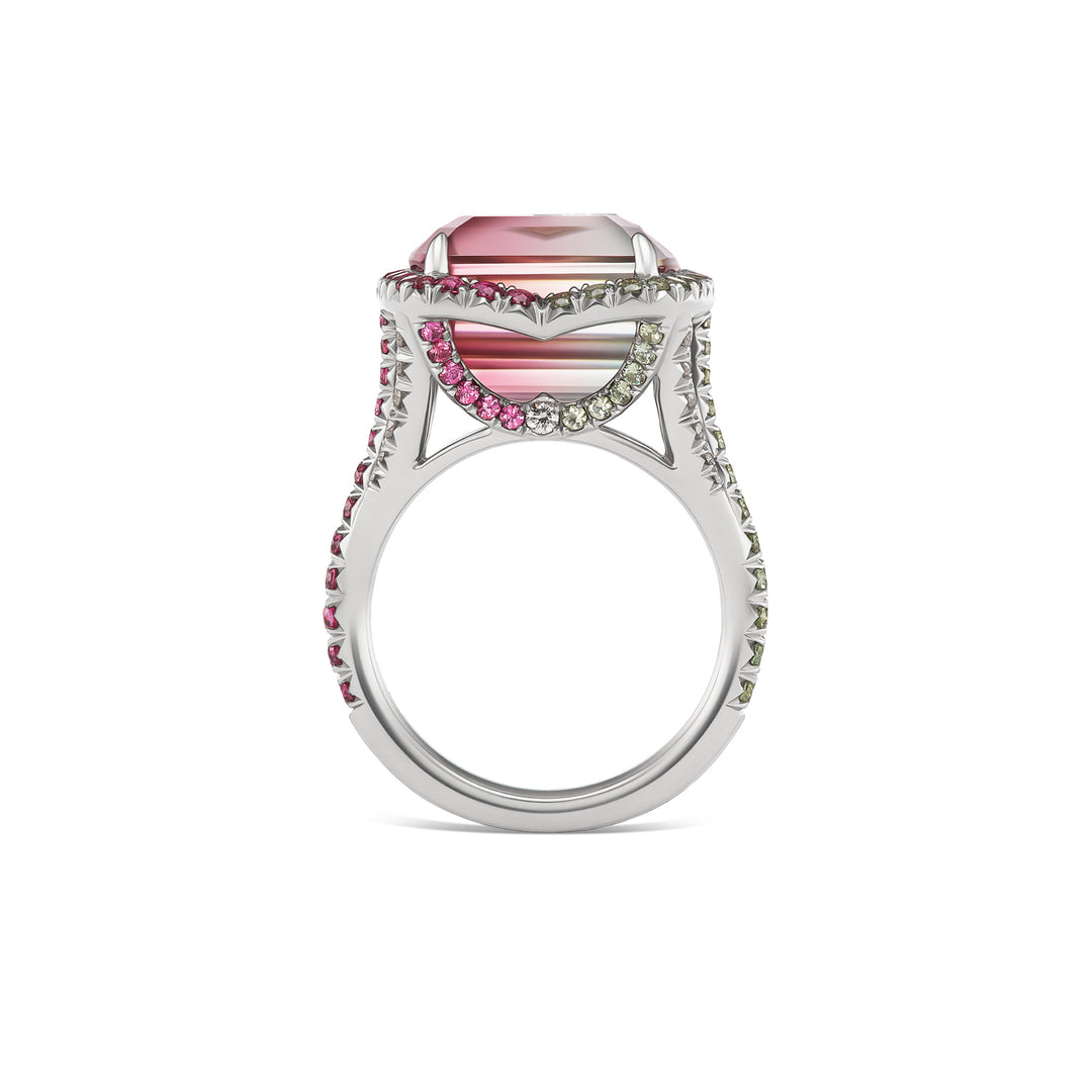 One of a Kind Platinum Ring with a 12.42 carat Emerald Cut Bi-Color Tourmaline, Spinels, Demantoid Garnets & Diamonds