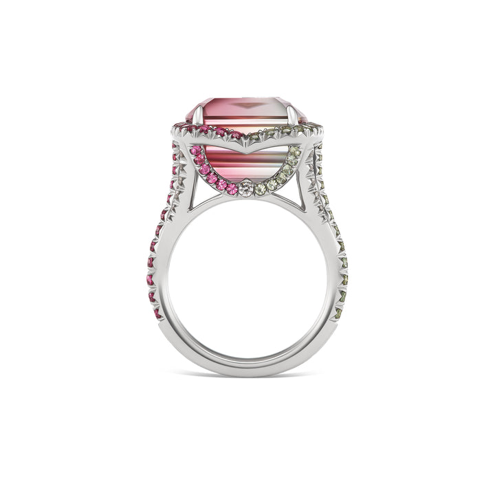 One of a Kind Platinum Ring with a 12.42 carat Emerald Cut Bi-Color Tourmaline, Spinels, Demantoid Garnets & Diamonds