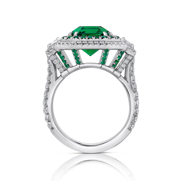 Platinum "Duet" Ring with 6.76 carat Emerald Cut Chrome Tourmaline, Tsavorite Garnets and Diamonds