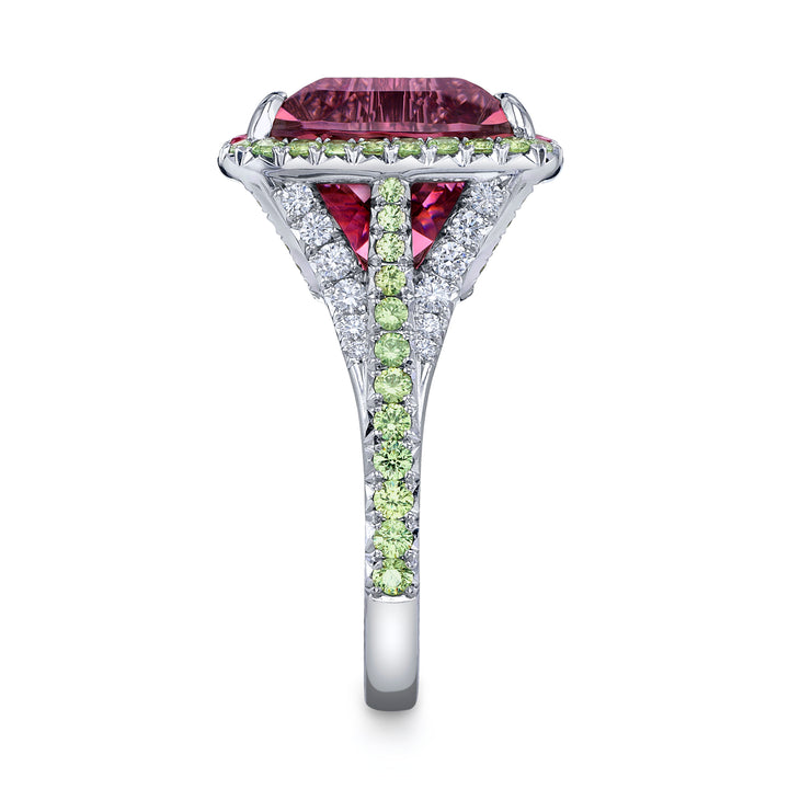 One of a Kind Platinum Ring with a 12.42 carat Emerald Cut Bi-Color Tourmaline, Spinels, Demantoid Garnets & Diamonds