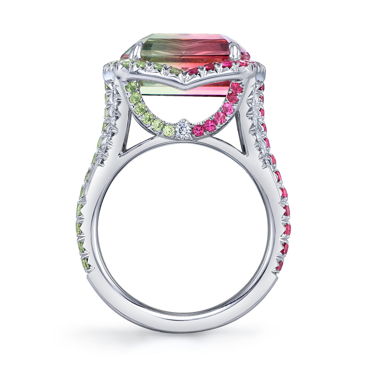 One of a Kind Platinum Ring with a 12.42 carat Emerald Cut Bi-Color Tourmaline, Spinels, Demantoid Garnets & Diamonds