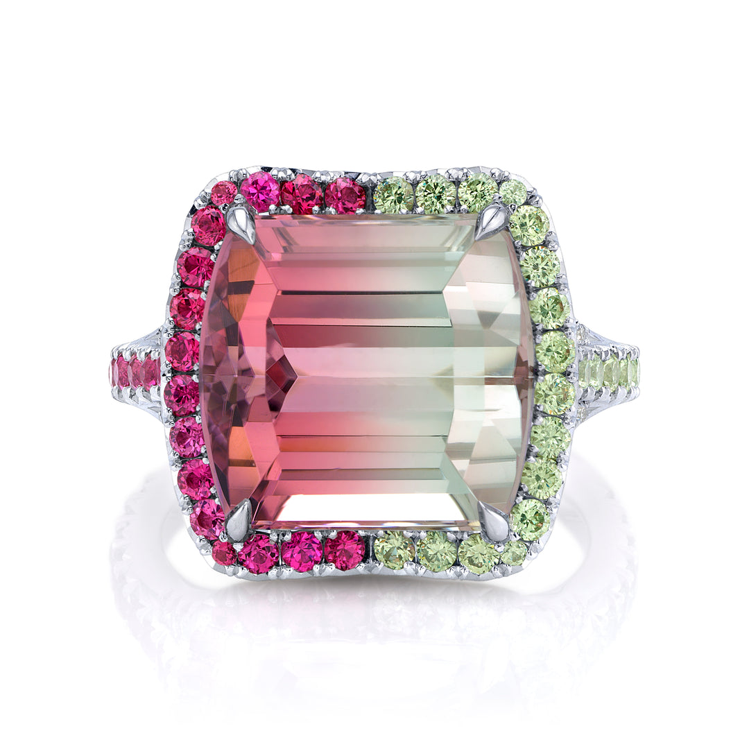One of a Kind Platinum Ring with a 12.42 carat Emerald Cut Bi-Color Tourmaline, Spinels, Demantoid Garnets & Diamonds