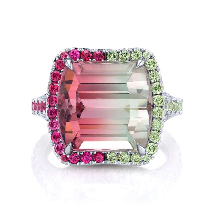 One of a Kind Platinum Ring with a 12.42 carat Emerald Cut Bi-Color Tourmaline, Spinels, Demantoid Garnets & Diamonds